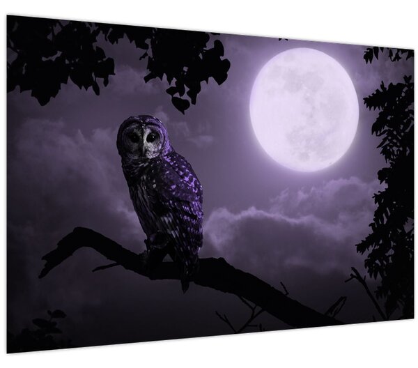 Tablou - Bufniță de noapte, violet (90x60 cm)