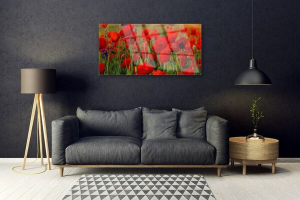 Tablou pe sticla Maci Floral Roșu Verde