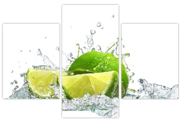 Tablou - Limes (90x60 cm)