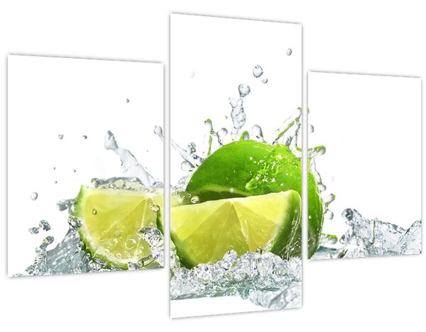 Tablou - Limes (90x60 cm)
