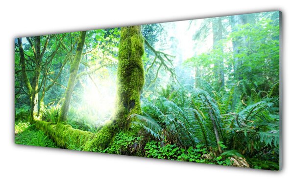 Panou sticla bucatarie Pădurea Verde Natura