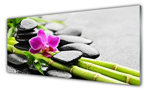 Tablouri acrilice Bamboo Tube flori Stones Arta Verde Rosu Negru