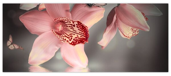 Tablou - Flori și fluture (120x50 cm)