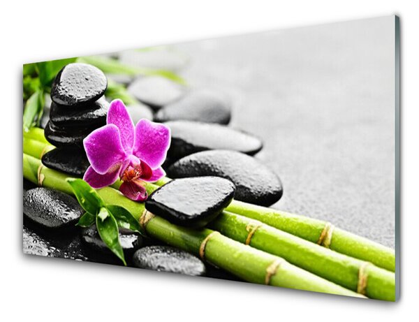 Tablouri acrilice Bamboo Tube flori Stones Arta Verde Rosu Negru