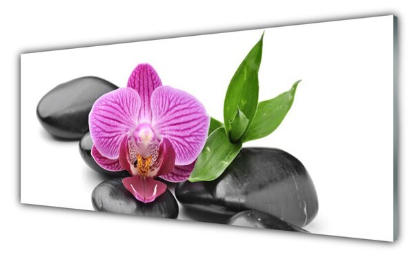 Tablou pe sticla Pietrele de flori Arta roz negru