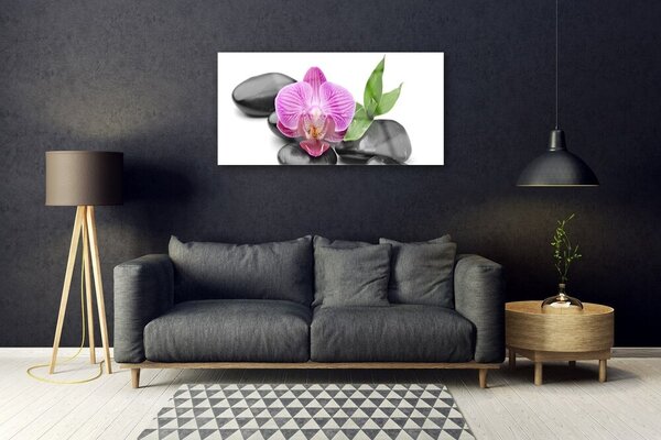 Tablou pe sticla Pietrele de flori Arta roz negru