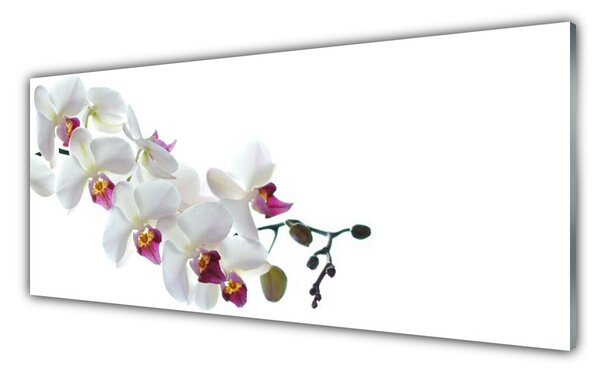 Tablou pe sticla Flori Floral alb
