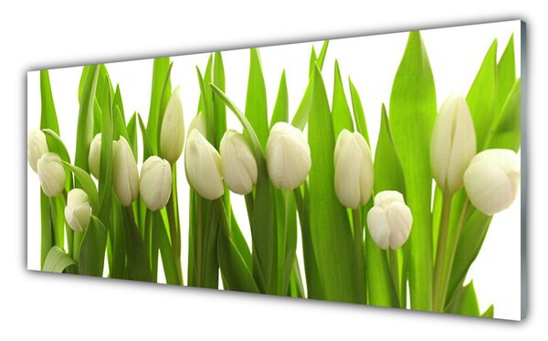Tablou pe sticla Lalele Floral Alb Verde