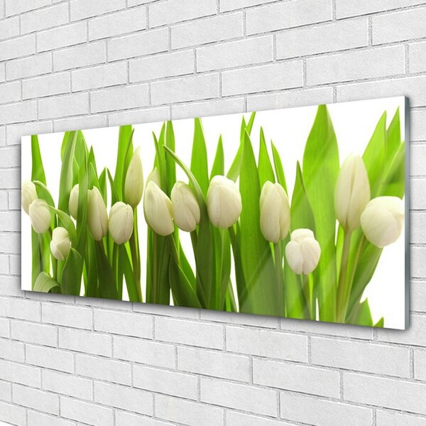 Tablou pe sticla Lalele Floral Alb Verde