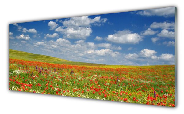 Tablouri acrilice Meadow Flori Peisaj Roșu Alb Verde