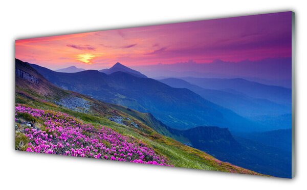 Panou sticla bucatarie Muntii Meadow Flori Peisaj Albastru Roz Verde Galben