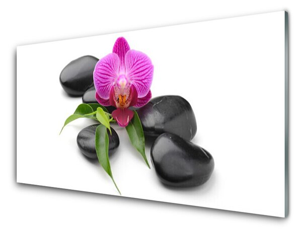 Panou sticla bucatarie Pietrele de flori Arta roz negru