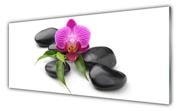 Panou sticla bucatarie Pietrele de flori Arta roz negru