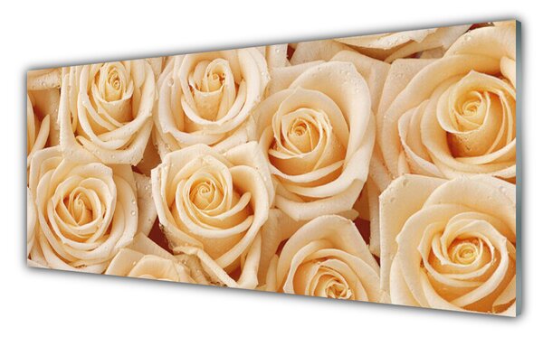 Tablou pe sticla Trandafiri Floral Galben