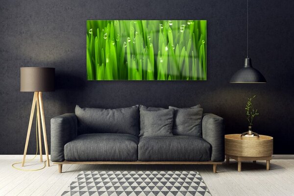 Tablou pe sticla Iarbă Natura verde