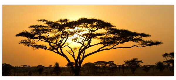 Tablou - Savana africană (120x50 cm)