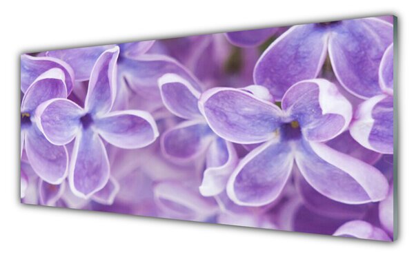 Tablou pe sticla Flori roz Floral