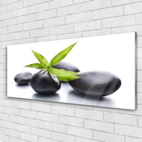 Tablou pe sticla Pietre Frunze Arta Negru Verde