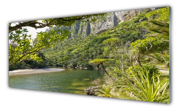 Tablou pe sticla Lacul Verde Natura