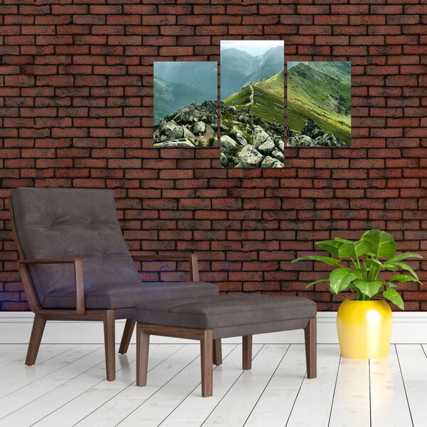 Tablou - Peisaj montan (90x60 cm)