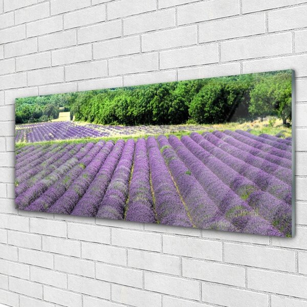 Tablou pe sticla Meadow Flori Natura Verde Violet