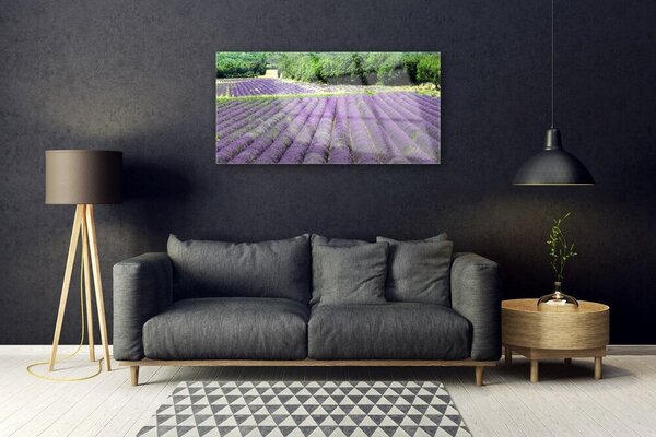 Tablou pe sticla Meadow Flori Natura Verde Violet