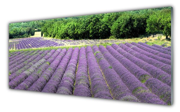 Panou sticla bucatarie Meadow Flori Natura Verde Violet
