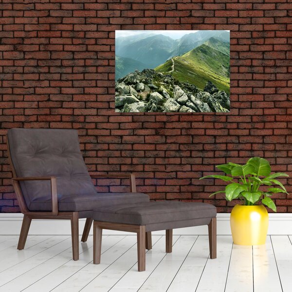 Tablou - Peisaj montan (70x50 cm)