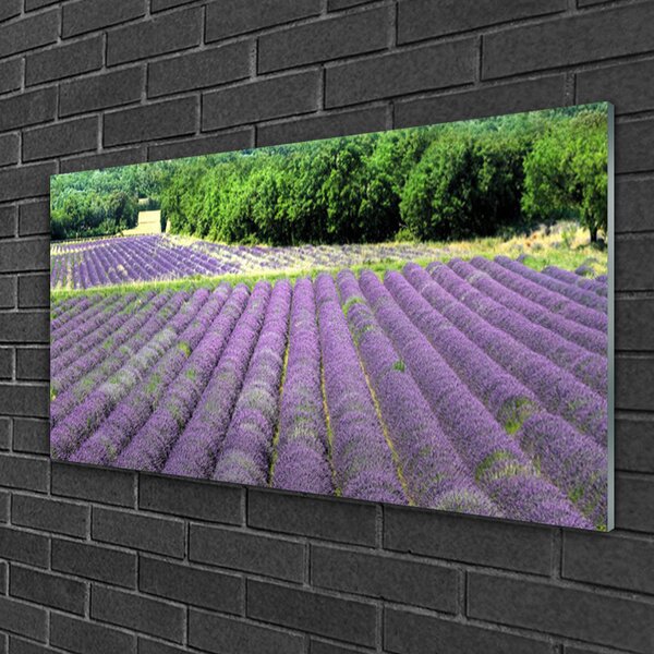 Tablou pe sticla Meadow Flori Natura Verde Violet