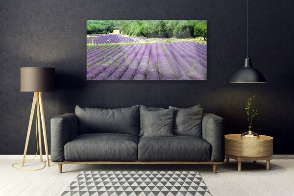 Tablou pe sticla Meadow Flori Natura Verde Violet