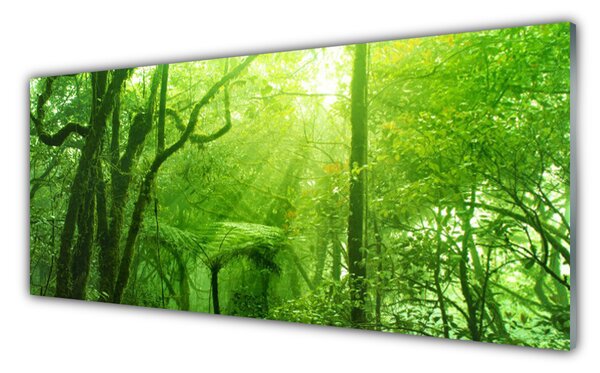 Tablouri acrilice Copaci Natura Brun Verde