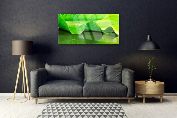 Tablou pe sticla Frunza verde florale