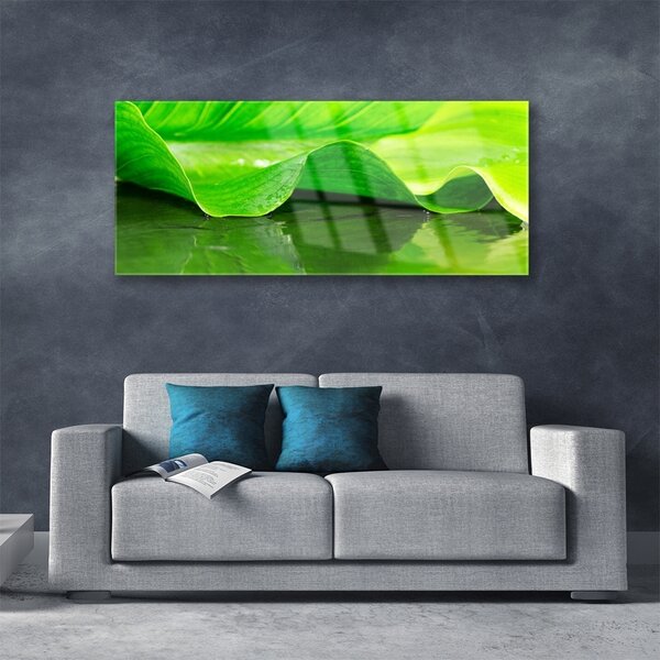 Tablou pe sticla Frunza verde florale