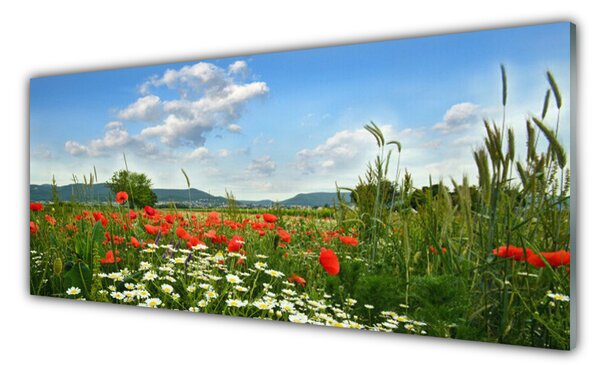 Tablou pe sticla Flori Meadow Natura Verde Roșu Alb