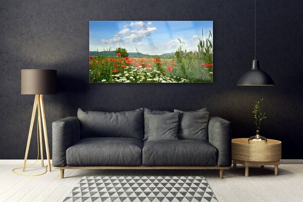 Tablou pe sticla Flori Meadow Natura Verde Roșu Alb