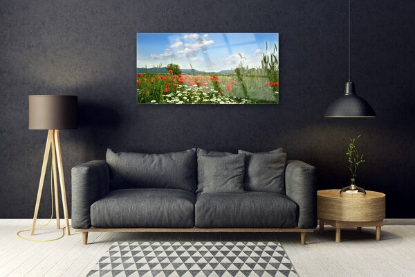 Tablou pe sticla Flori Meadow Natura Verde Roșu Alb