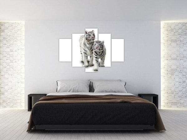 Tablou - Tigrul alb (150x105 cm)