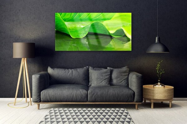 Tablou pe sticla Frunza verde florale