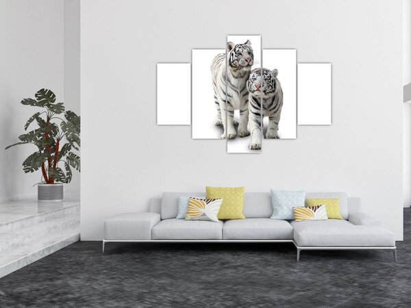 Tablou - Tigrul alb (150x105 cm)
