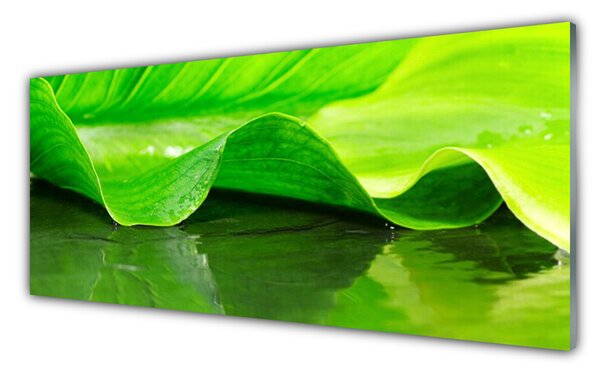 Tablou pe sticla Frunza verde florale