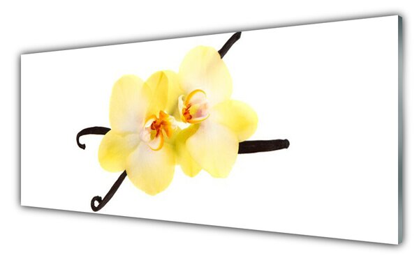 Panou sticla bucatarie Flori Floral Alb Galben Maro