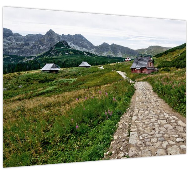 Tablou - Peisaj montan cu case (70x50 cm)