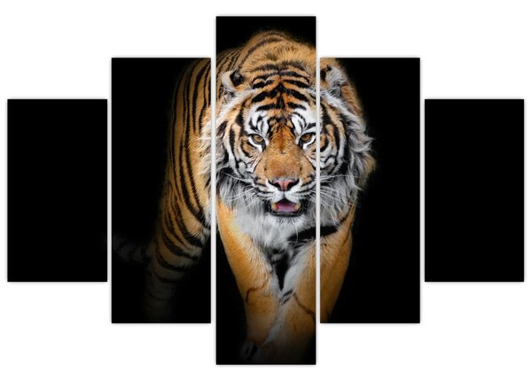 Tablou - Tiger (150x105 cm)