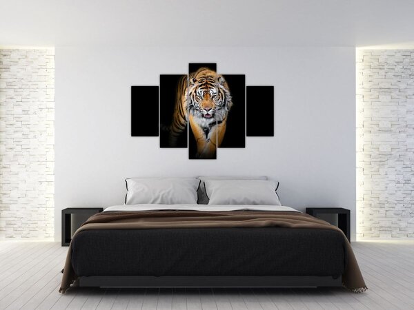 Tablou - Tiger (150x105 cm)