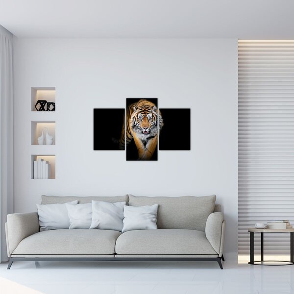 Tablou - Tiger (90x60 cm)