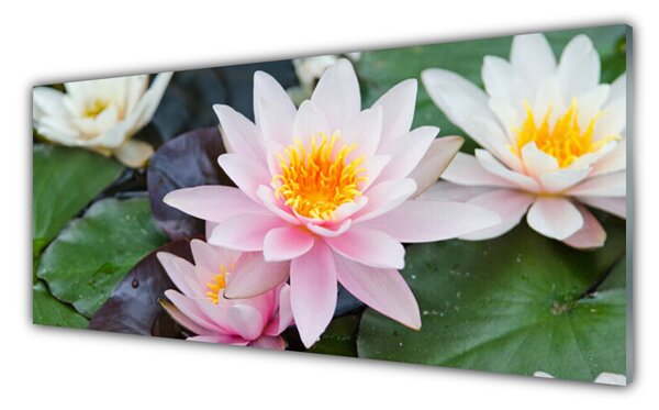 Panou sticla bucatarie Flori Floral galben roz