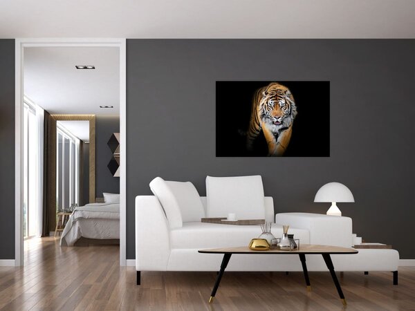 Tablou - Tiger (90x60 cm)