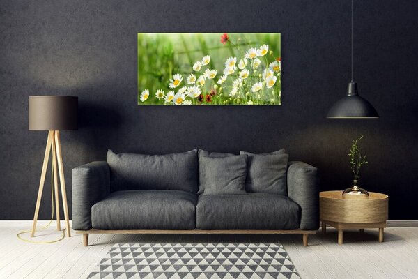 Tablou pe sticla Daisy Natura Galben Alb