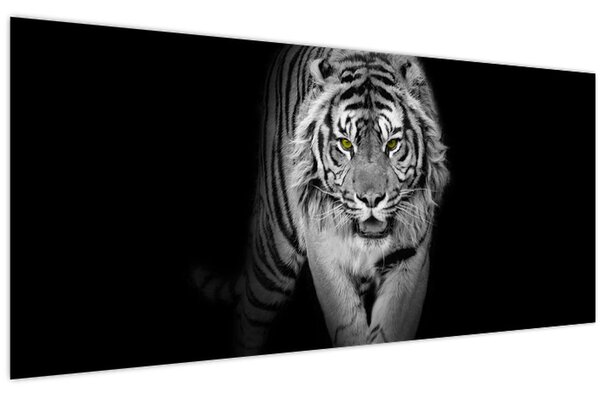Tablou - Tigru cu ochi galbeni (120x50 cm)