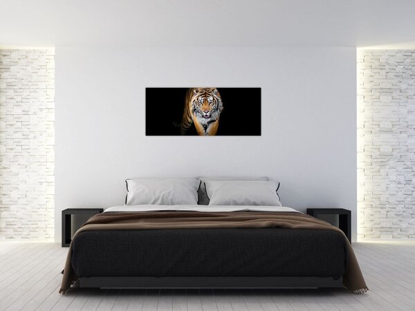 Tablou - Tiger (120x50 cm)